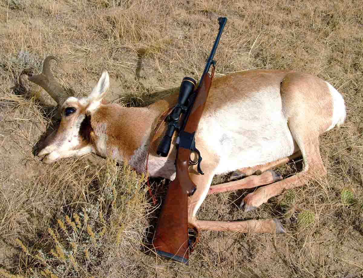 Traditional rifles can be chambered for cartridges that work well with high-BC bullets. This Wyoming pronghorn was shot at around 350 yards with a Ruger No. 1A rechambered to .280 Ackley Improved.